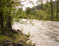 Moyie river 3km east of Yahk, BC